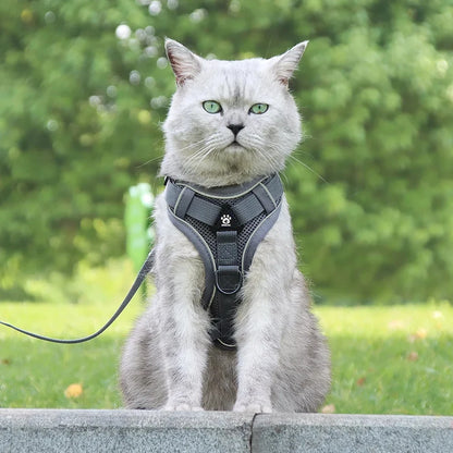 Pet Cat Harness and Leash Set