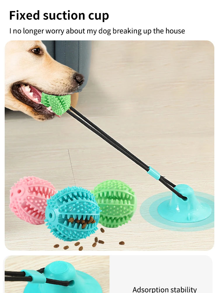 Pet Dogs Grinding Their Teeth Chewing Pet Toys With Sound