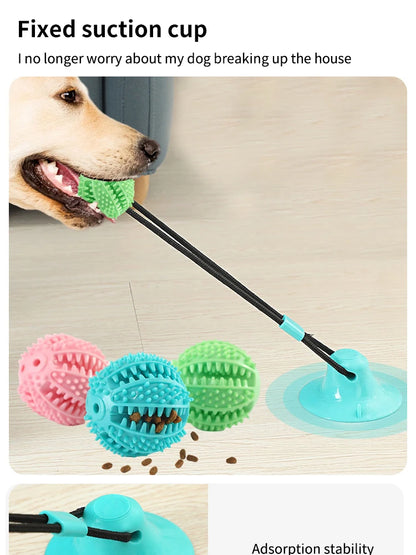 Pet Dogs Grinding Their Teeth Chewing Pet Toys With Sound