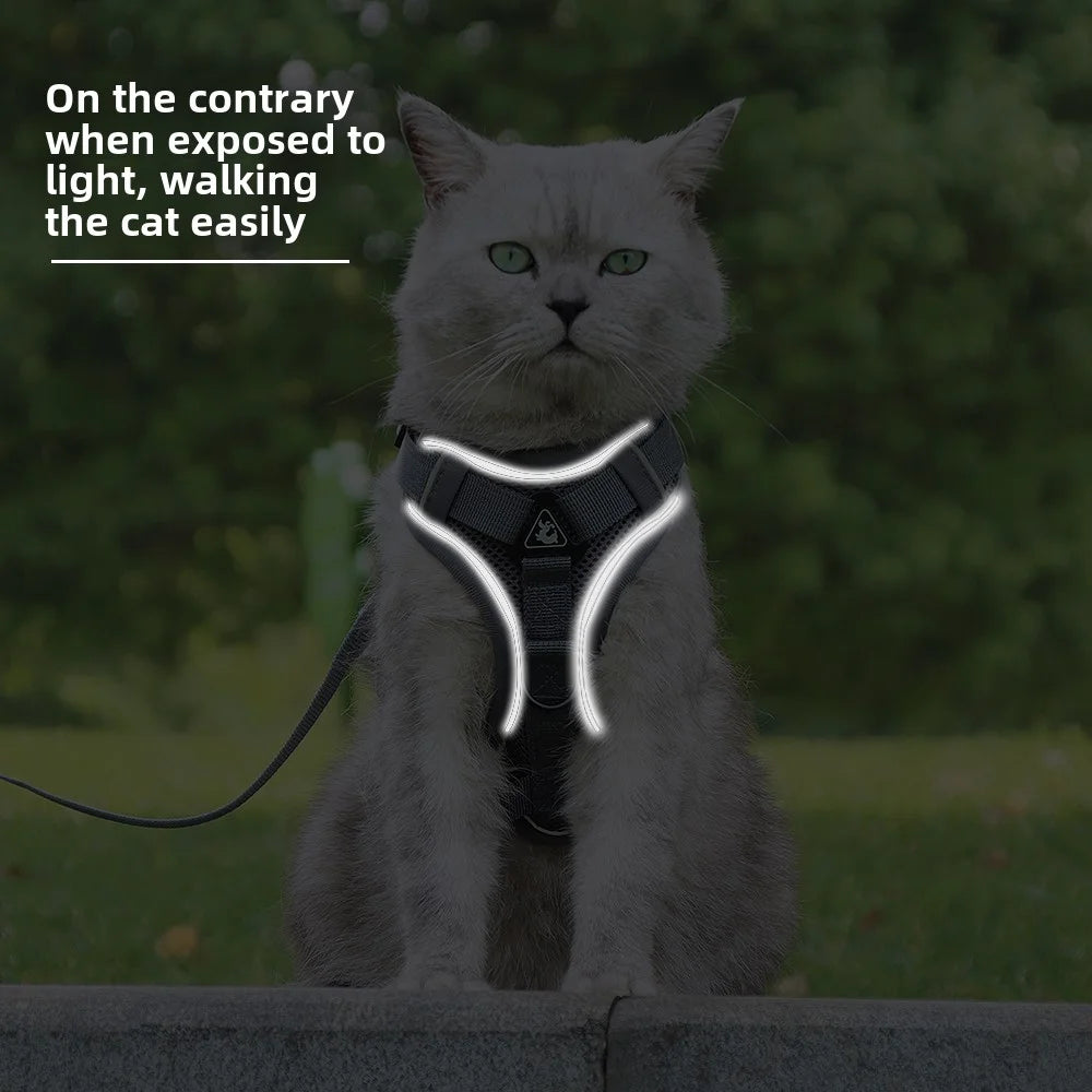 Pet Cat Harness and Leash Set
