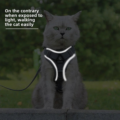 Pet Cat Harness and Leash Set