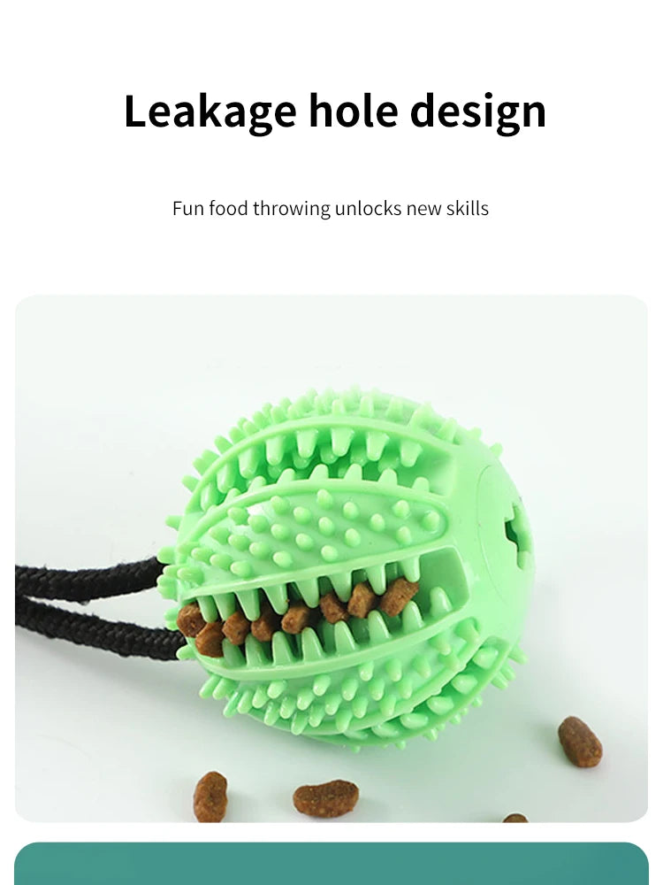 Pet Dogs Grinding Their Teeth Chewing Pet Toys With Sound