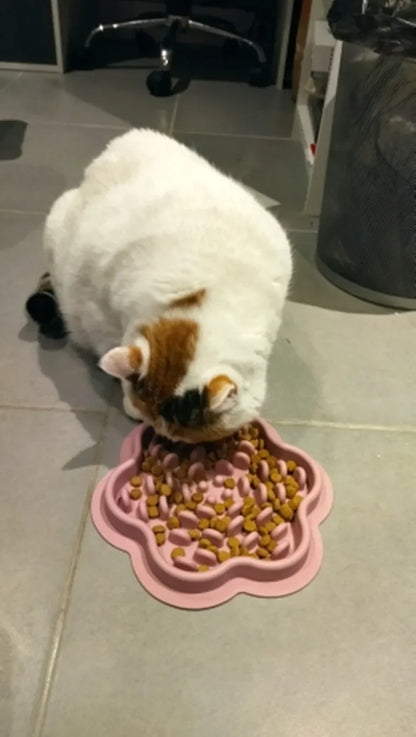 Pet Cat Dog Slow Food Bowls With Suction Cup