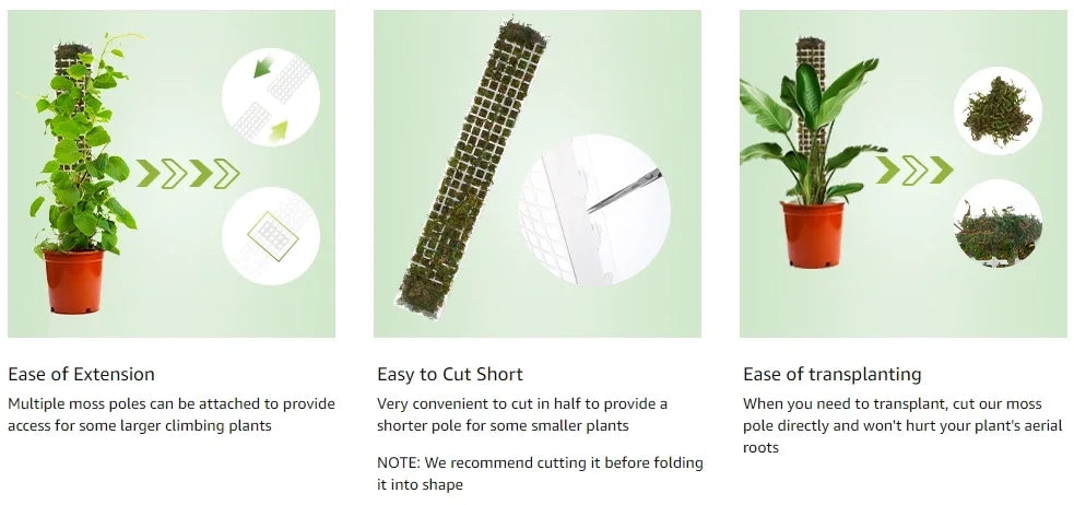 Moss Pole Plastic Plant Stand