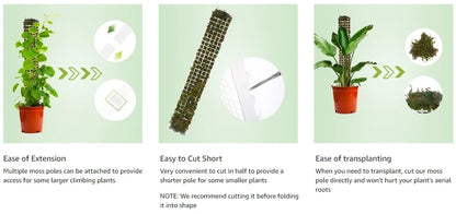 Moss Pole Plastic Plant Stand