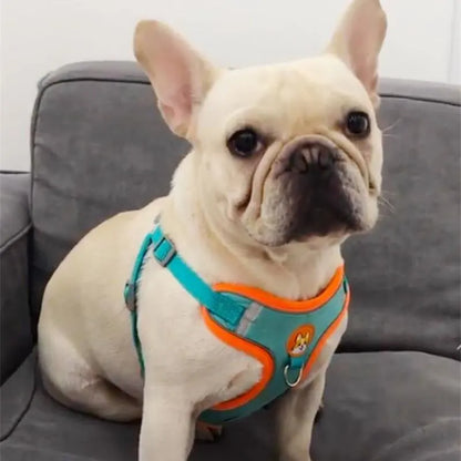 Adjustable No Pull Pet Reflective Harness Leash Set