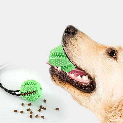 Pet Dogs Grinding Their Teeth Chewing Pet Toys With Sound