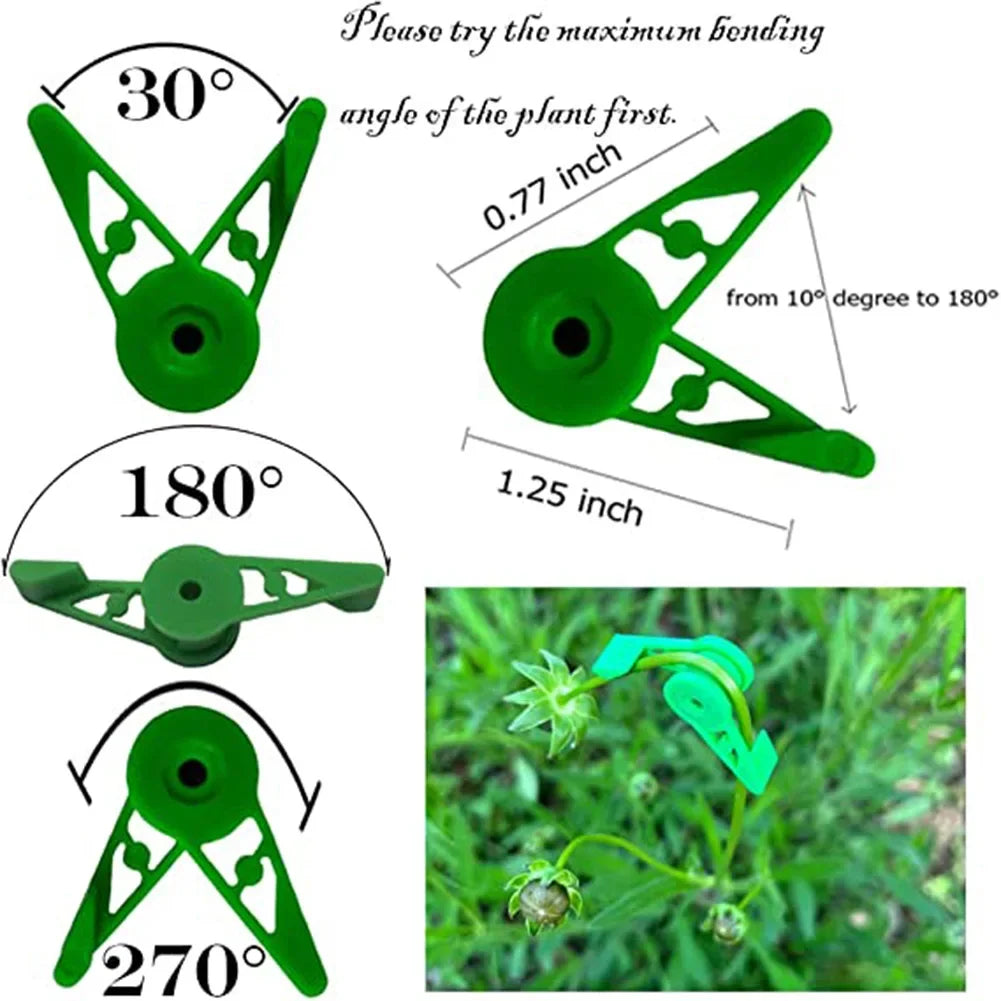 Plant Branches Bender Training Clips