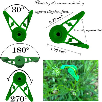Plant Branches Bender Training Clips