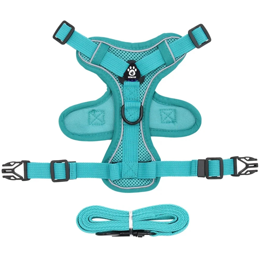 Pet Cat Harness and Leash Set
