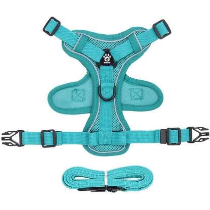 Pet Cat Harness and Leash Set
