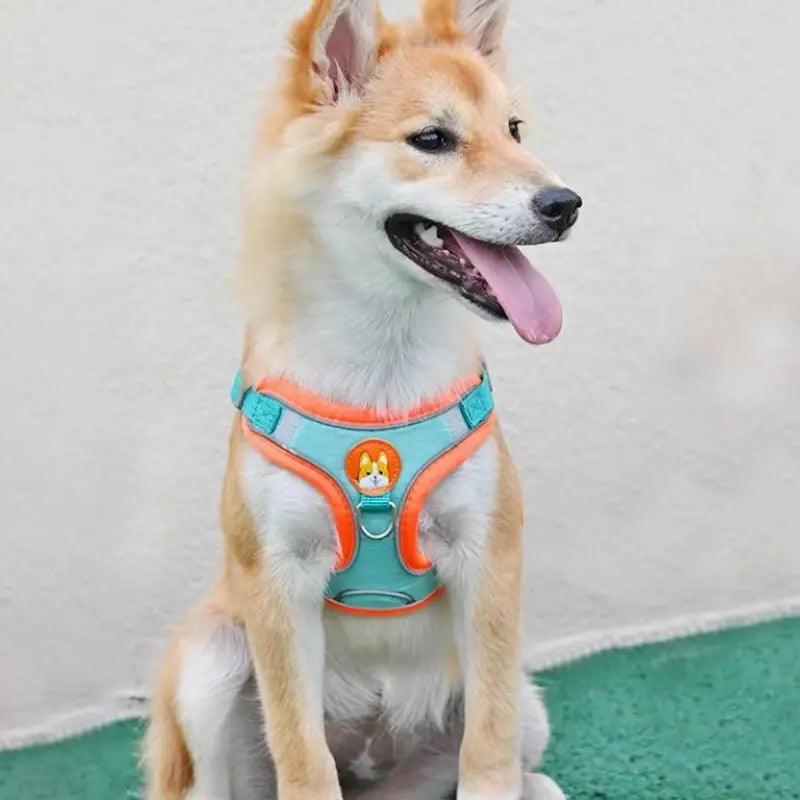 Adjustable No Pull Pet Reflective Harness Leash Set