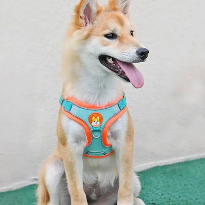 Adjustable No Pull Pet Reflective Harness Leash Set