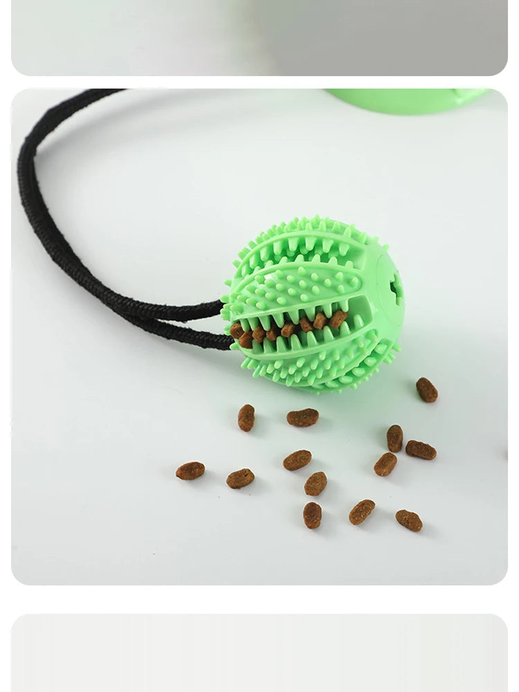 Pet Dogs Grinding Their Teeth Chewing Pet Toys With Sound