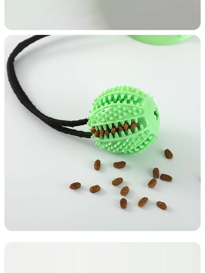 Pet Dogs Grinding Their Teeth Chewing Pet Toys With Sound