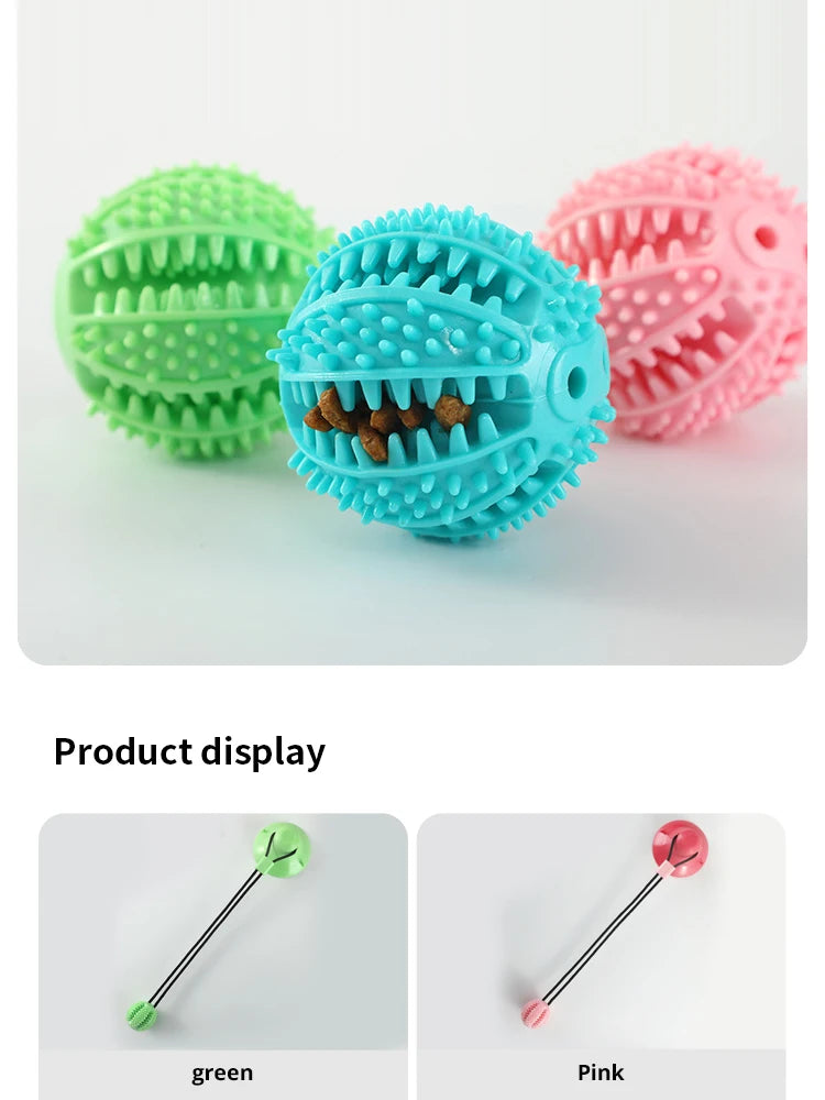 Pet Dogs Grinding Their Teeth Chewing Pet Toys With Sound